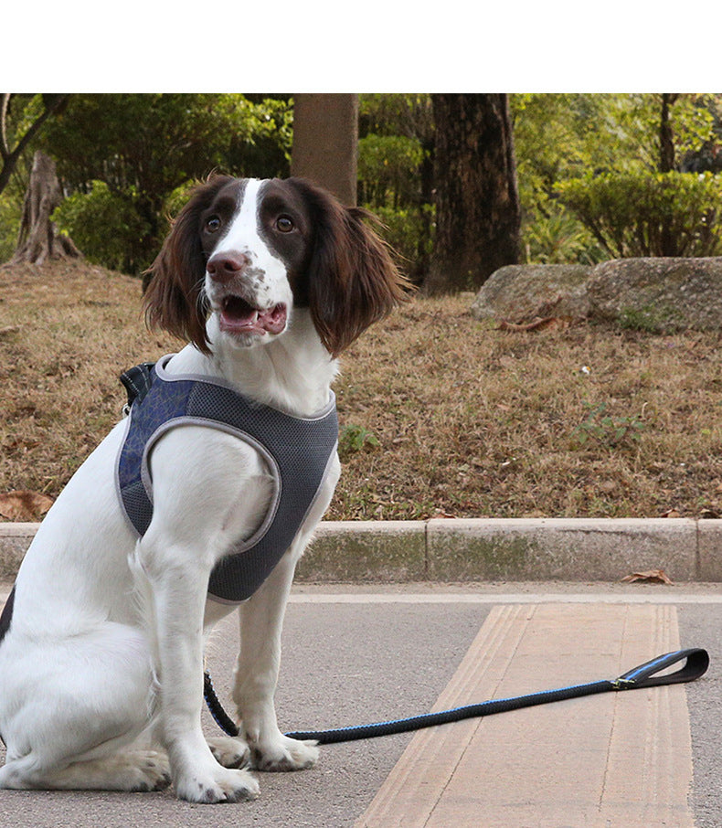 Pettorina Regolabile Riflettente No Pull โ Comfort e Sicurezza per il tuo Cane ๐ถ