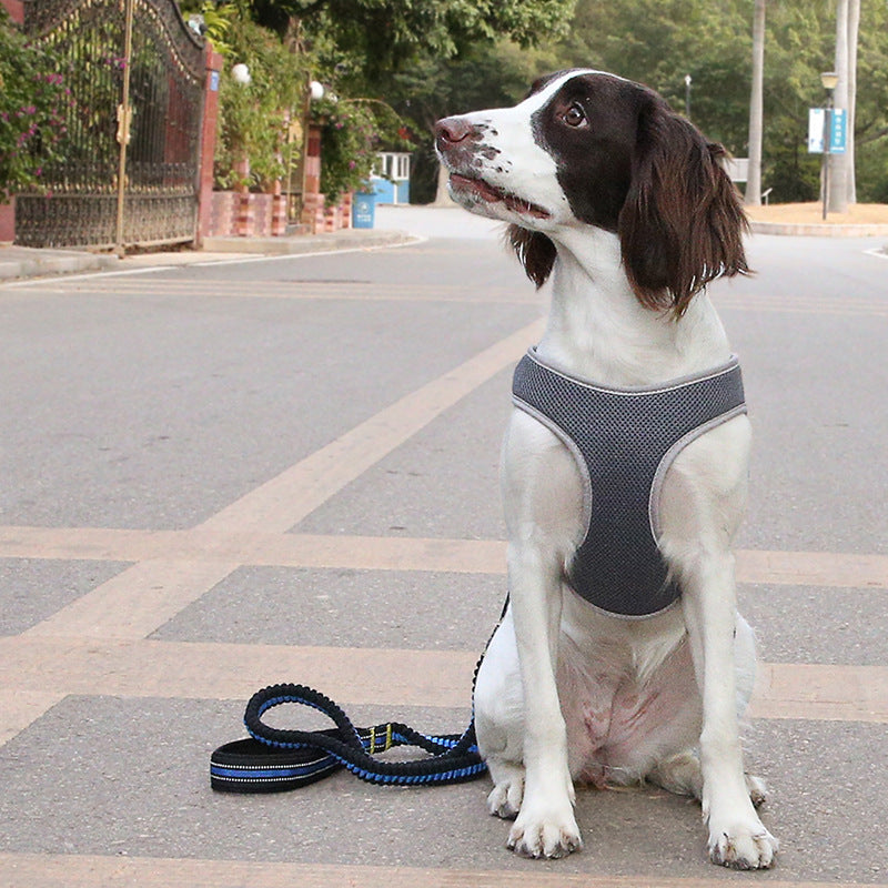 Pettorina Regolabile Riflettente No Pull โ Comfort e Sicurezza per il tuo Cane ๐ถ