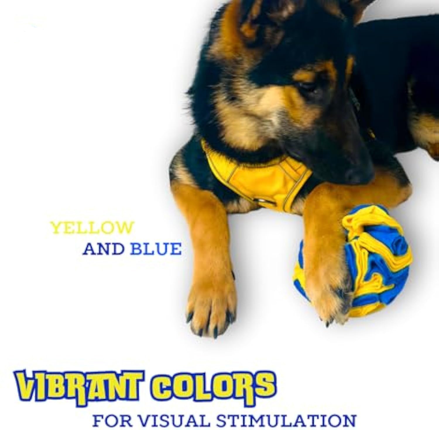 Palla Interattiva Snuffle per Cani โ Gioco di Fiuto e Stimolazione Mentale Giallo e Blu