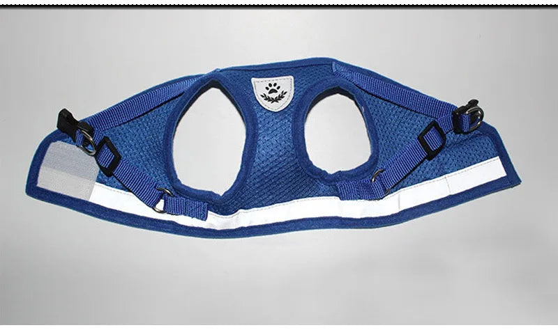 Pettorina Riflettente con Guinzaglio per Gatti e Cani di Piccola Taglia – Traspirante e Regolabile