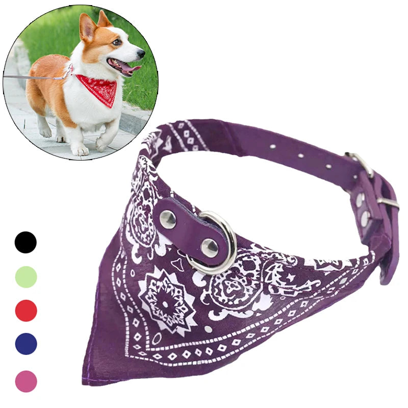 Collare con Bandana Regolabile per Cani e Gatti – Stile e Comfort per Ogni Passeggiata