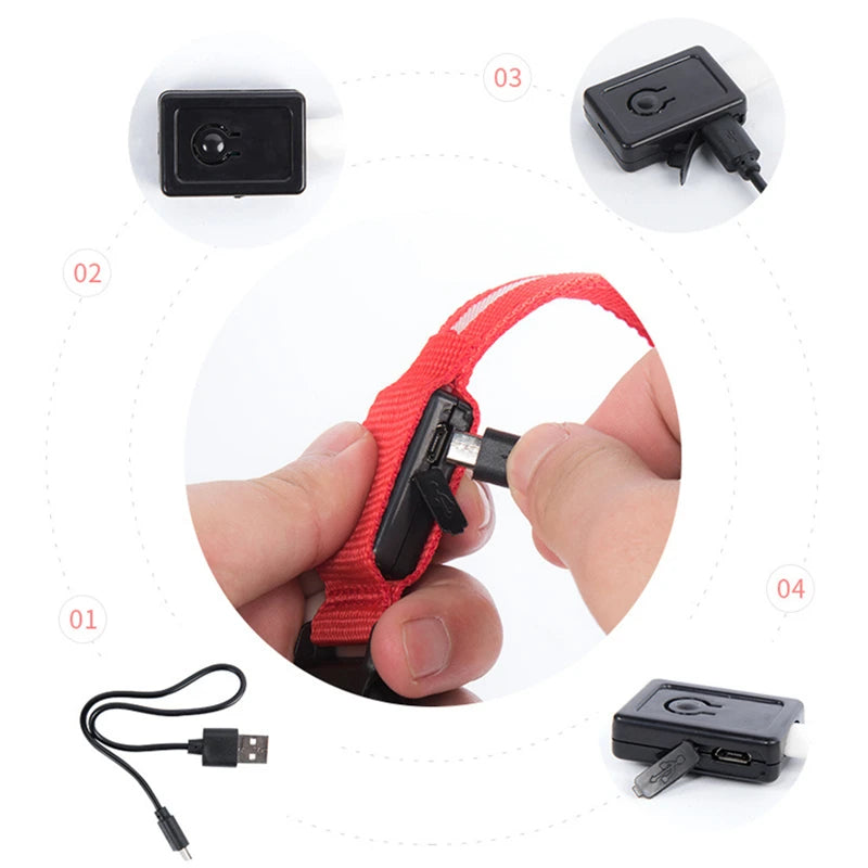 Collare Luminoso LED Ricaricabile per Cani e Gatti – Regolabile, Sicuro e Visibile di Notte