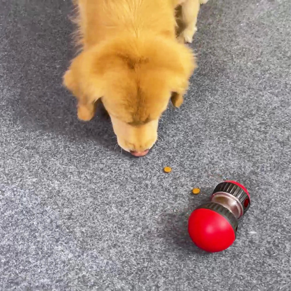 Gioco Interattivo Alimentatore Lento per Cani e Gatti โ Palla Distribuicibo Antistress