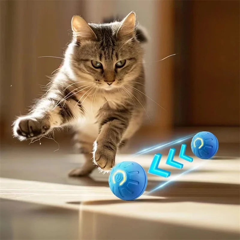 Palla Interattiva Intelligente per Cani e Gatti โ Gioco Elettronico Ricaricabile a Movimento Automatico