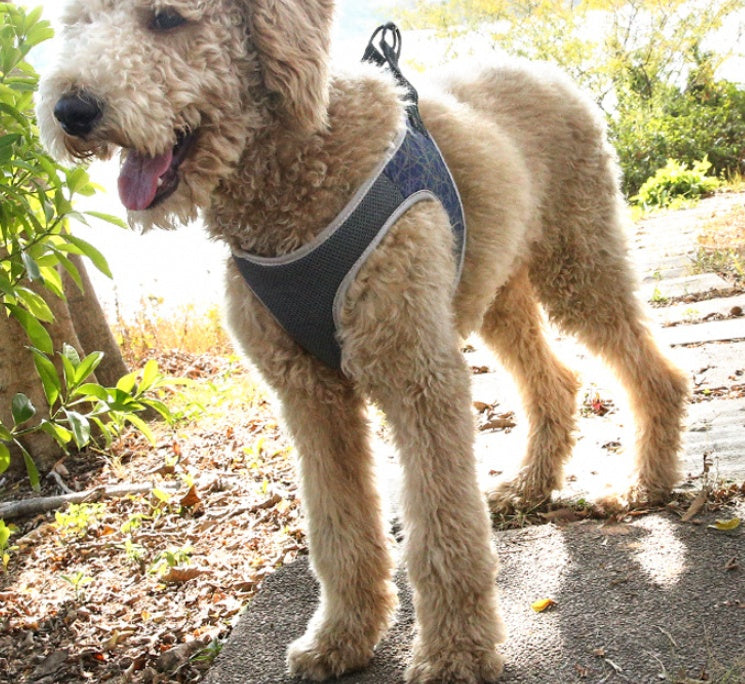 Pettorina Regolabile Riflettente No Pull โ Comfort e Sicurezza per il tuo Cane ๐ถ