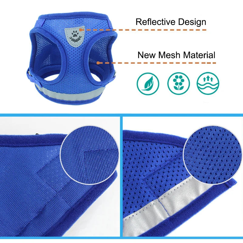 Pettorina Riflettente con Guinzaglio per Gatti e Cani di Piccola Taglia – Traspirante e Regolabile