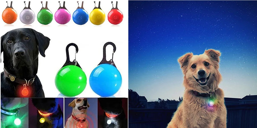 Collare Luminoso LED Ricaricabile per Cani e Gatti – Regolabile, Sicuro e Visibile di Notte