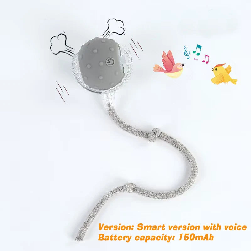 Palla Interattiva Ricaricabile per Cani – Gioco Automatico Intelligente Antinoia