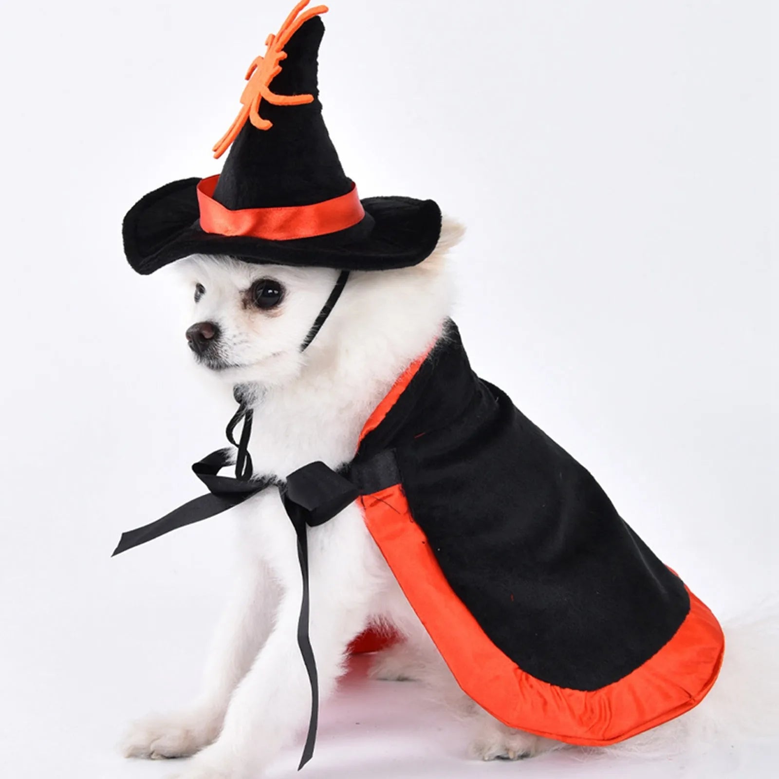 Costume da Strega per Cani e Gatti – Mantello di Halloween con Cappello