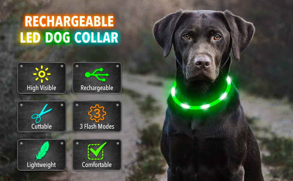 Collare Luminoso LED Ricaricabile per Cani e Gatti – Regolabile, Sicuro e Visibile di Notte
