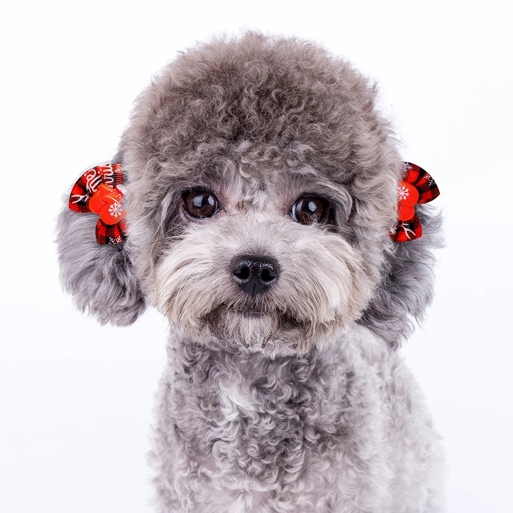 Fiocchetti Natalizi per Cani – Accessori per Pelo con Elastico |