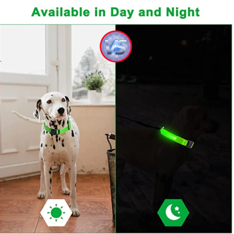 Collare Luminoso LED Ricaricabile per Cani e Gatti – Regolabile, Sicuro e Visibile di Notte