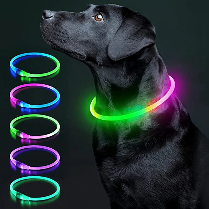 Collare Luminoso LED Ricaricabile per Cani e Gatti – Regolabile, Sicuro e Visibile di Notte