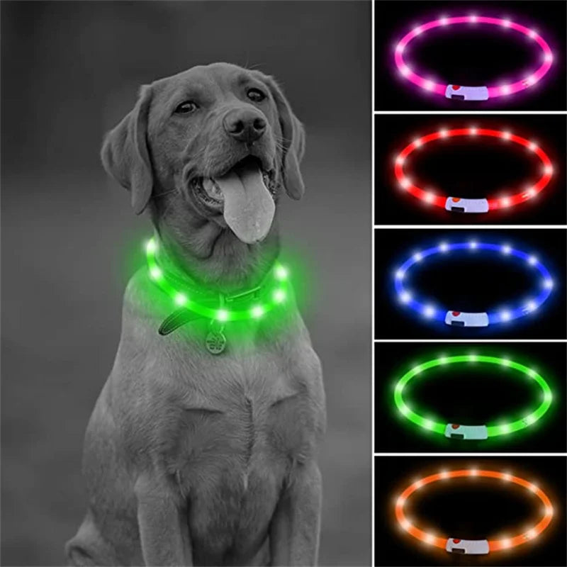 Collare Luminoso LED Ricaricabile per Cani e Gatti – Regolabile, Sicuro e Visibile di Notte