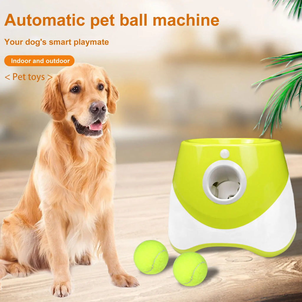 🎾 Lancia Palline Automatico per Cani – Gioco Interattivo con 3 Palline Incluse