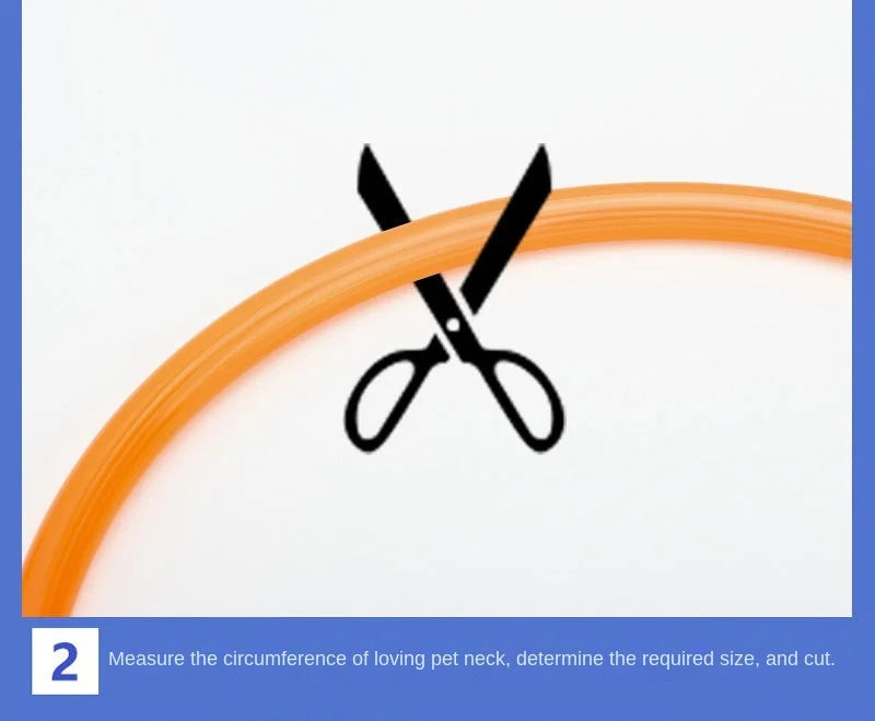 Collare Luminoso LED Ricaricabile per Cani e Gatti – Regolabile, Sicuro e Visibile di Notte