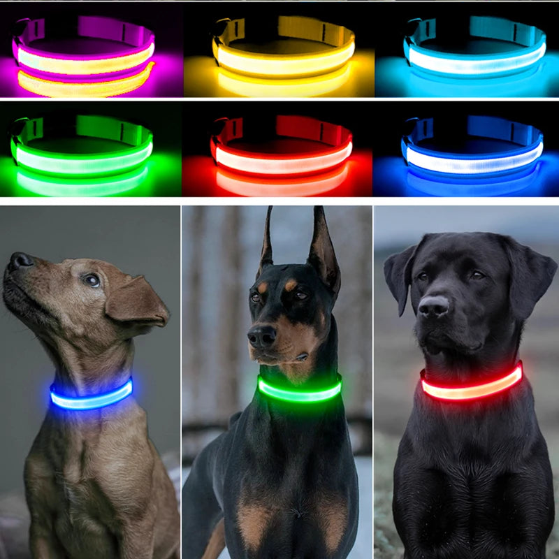 Collare Luminoso LED Ricaricabile per Cani e Gatti – Regolabile, Sicuro e Visibile di Notte