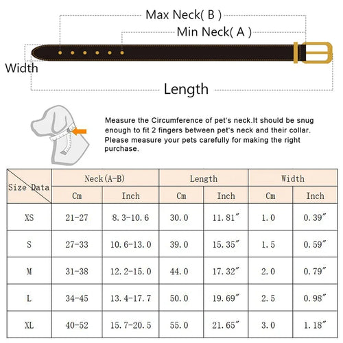 Collare con Bandana Regolabile per Cani e Gatti – Stile e Comfort per Ogni Passeggiata