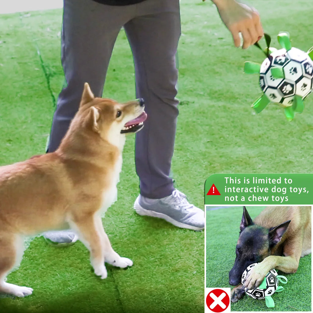 ⚽ Pallone Interattivo per Cani con Maniglie – Gioco da Riporto e Tiro alla Fune