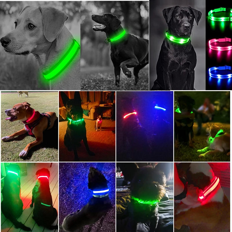 Collare Luminoso LED Ricaricabile per Cani e Gatti – Regolabile, Sicuro e Visibile di Notte