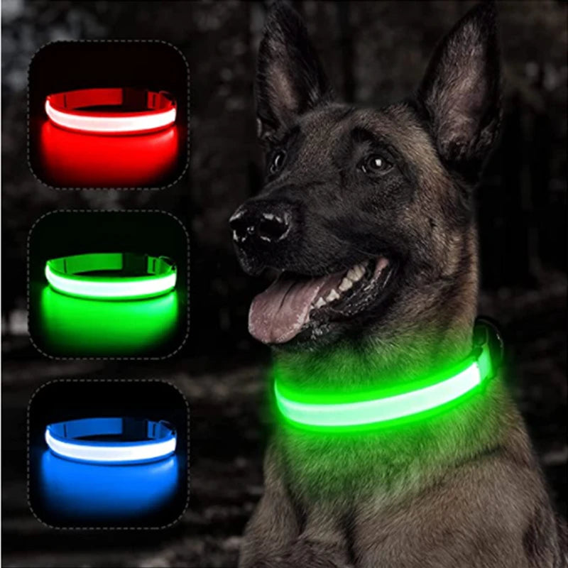 Collare Luminoso LED Ricaricabile per Cani e Gatti – Regolabile, Sicuro e Visibile di Notte