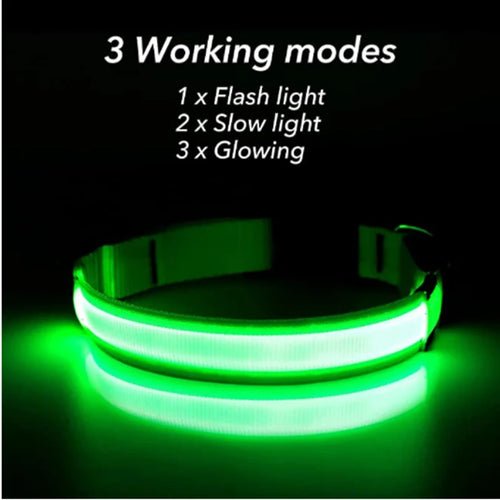 Collare Luminoso LED Ricaricabile per Cani e Gatti – Regolabile, Sicuro e Visibile di Notte
