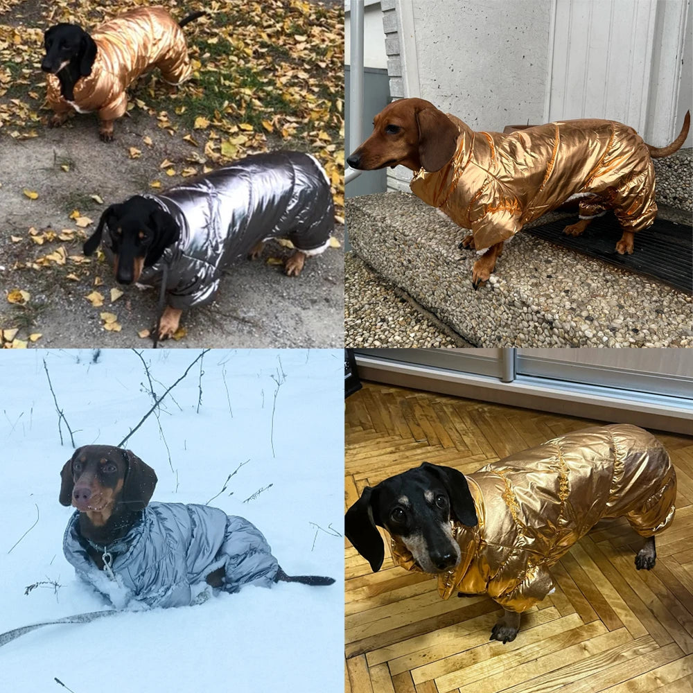 Tuta Invernale Impermeabile per Cani di Piccola Taglia – Calda e Morbida in Pile