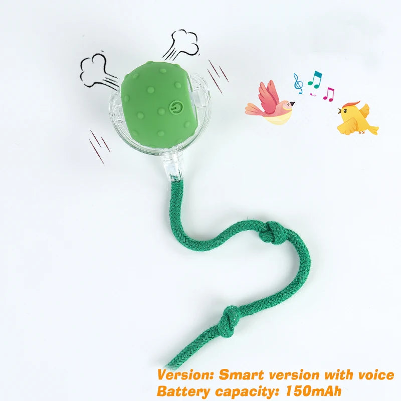 Palla Interattiva Ricaricabile per Cani – Gioco Automatico Intelligente Antinoia